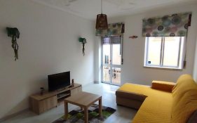 Apartamentos das Avós-Flor